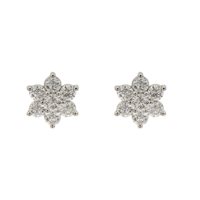 Ohrringe Recarlo Dame Bouquet in Weißgold Diamante E09RO001/125 - E09RO001/125